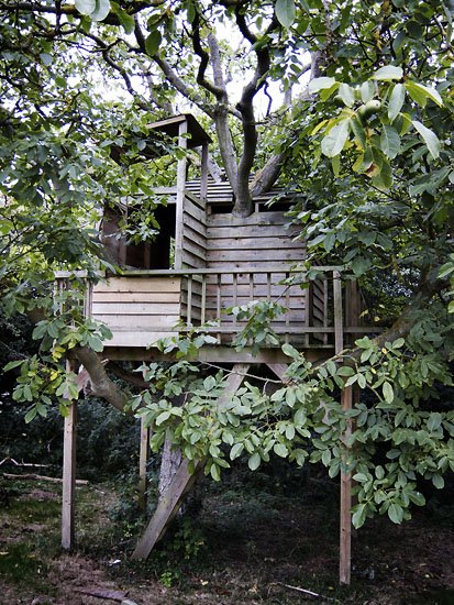 (tree)house extension