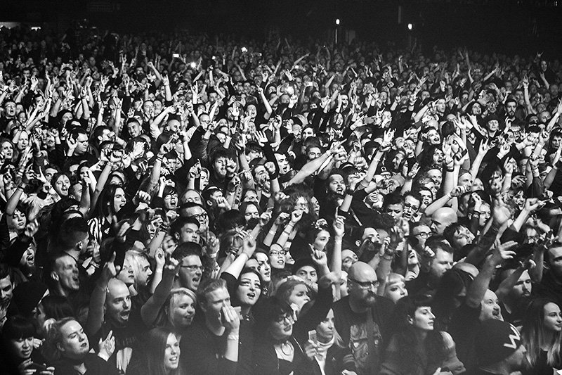 the crowd goes wild