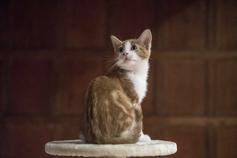 pretty pussy