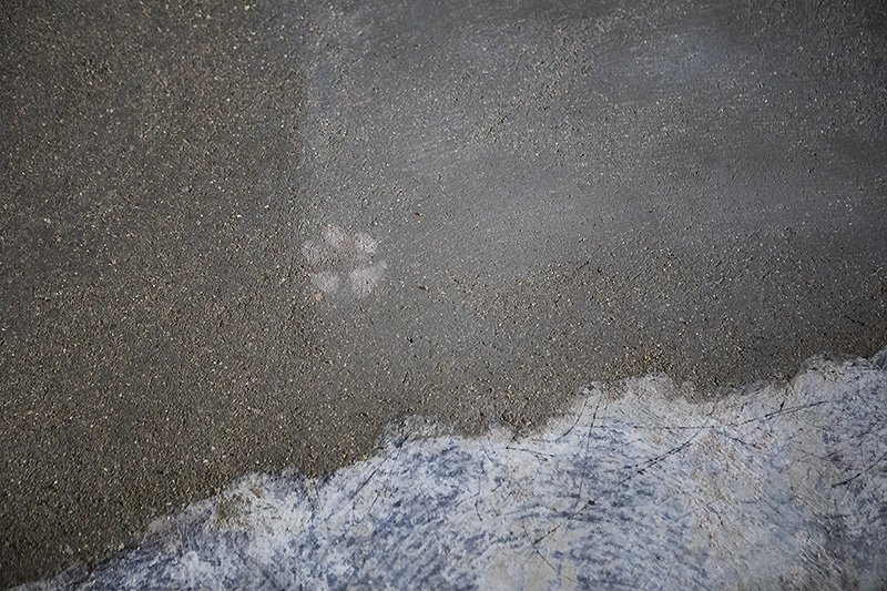 who's been treading on MY fresh cement?