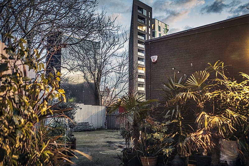 bunker backyard
