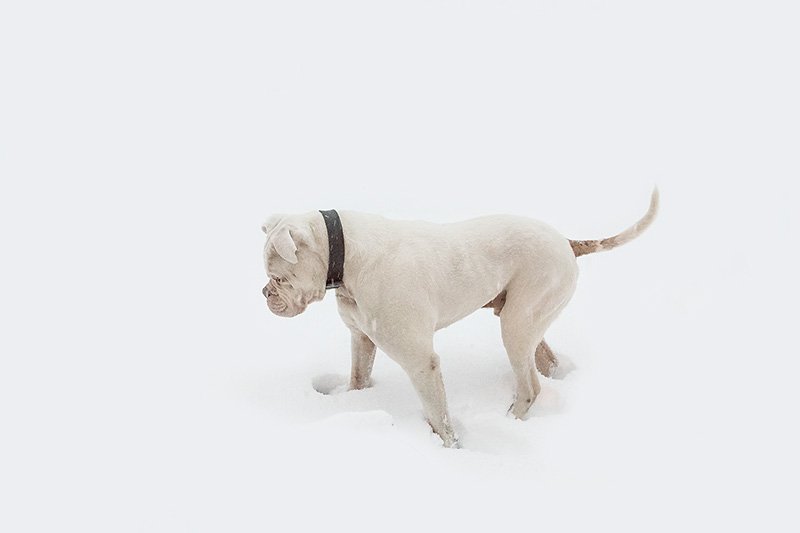 WOOOAHH: i must be tripping: i cant see my paws