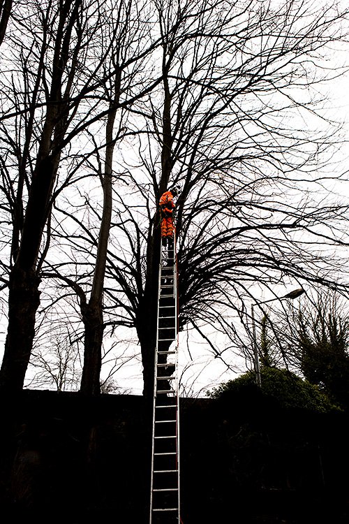 john likes to climb trees...
