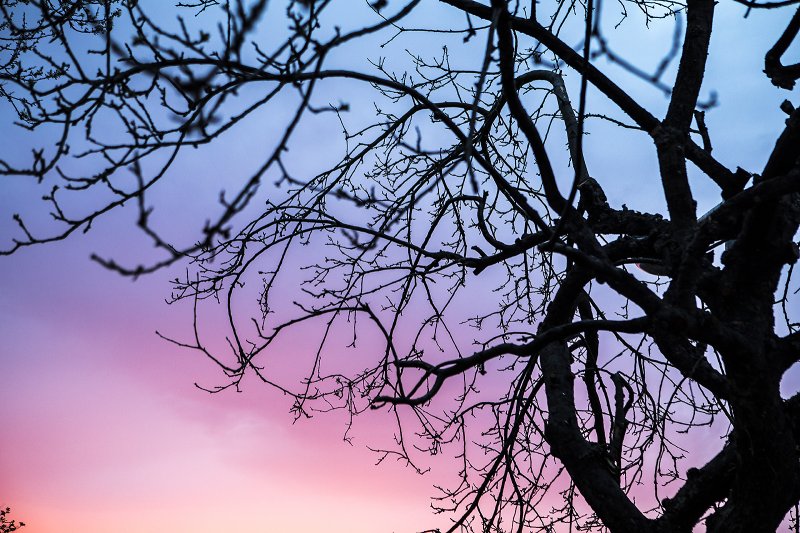 red sky at night, my ass