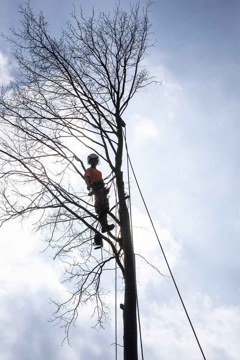 John of the airborne division