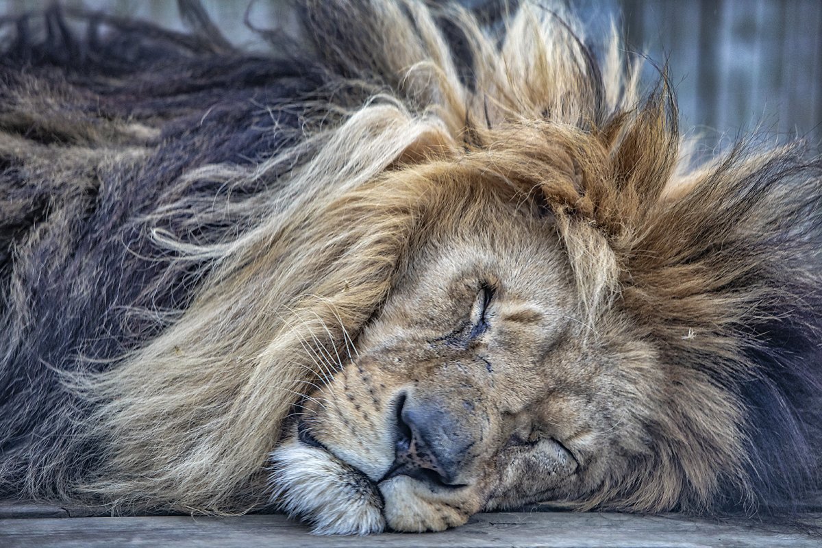 just another day at the office