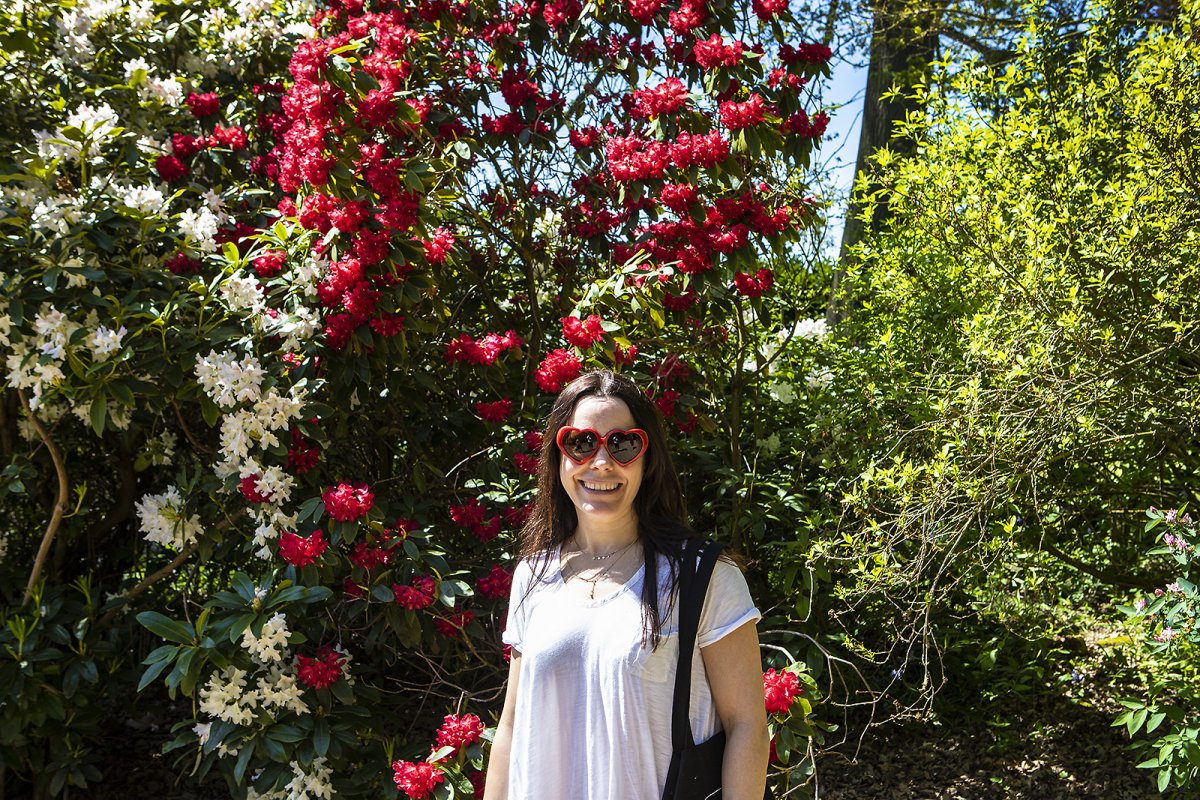 the great and beautiful