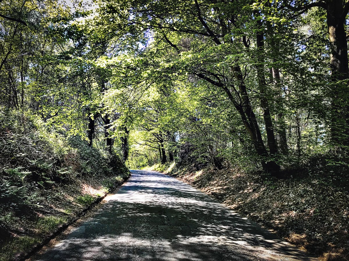 I want to ride my (motor) bicycle