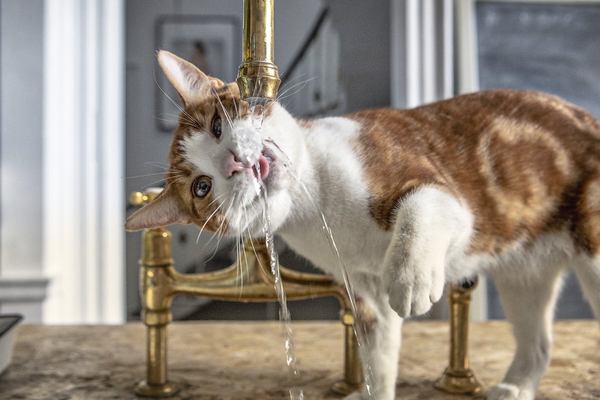 i like my water FRESH