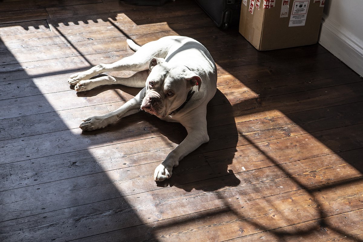 easy like everyday morning