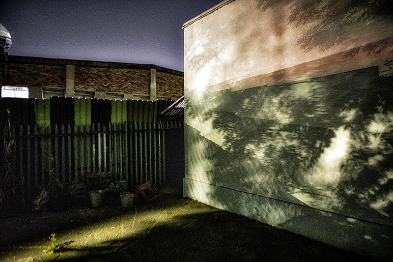 midnight at the oasis...in bow