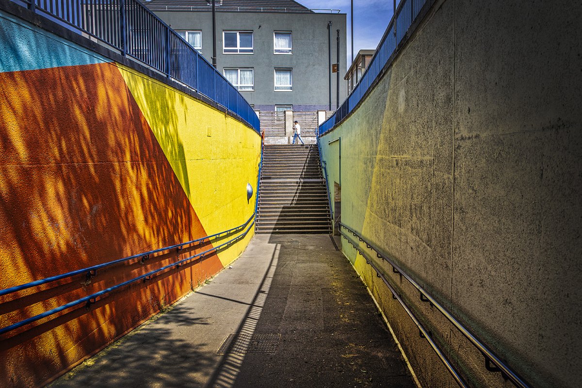 colourful beautiful bow 