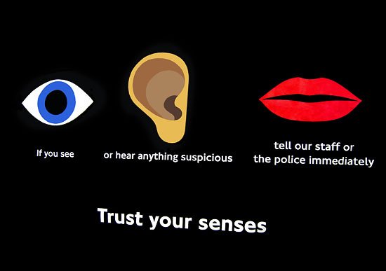 trust your senses