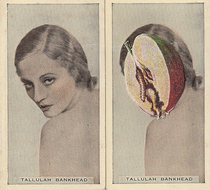 tallulah bankhead