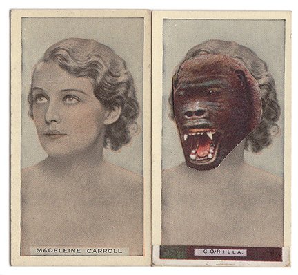 madeleine carroll gorilla