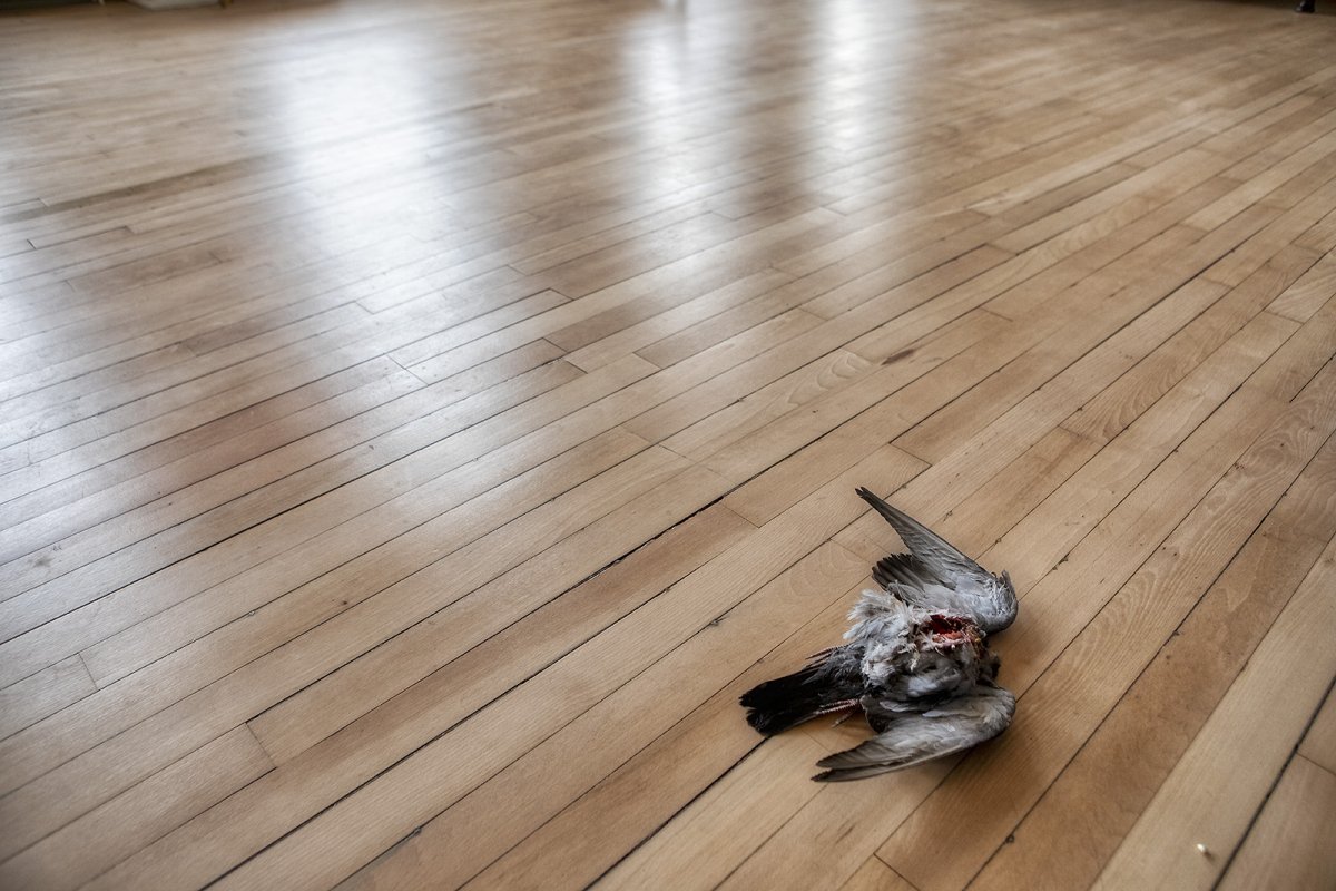 psycho killer qu'est que ce