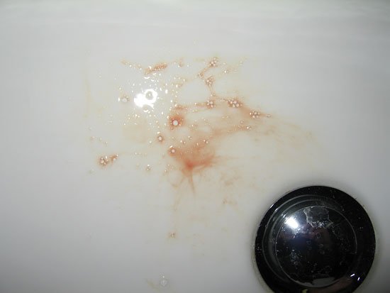 early morning travel