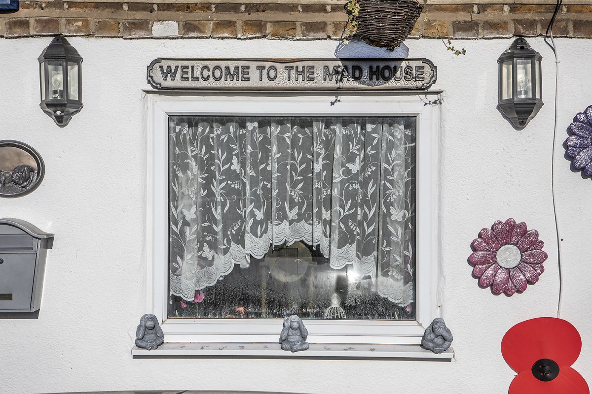 welcome to the mad house