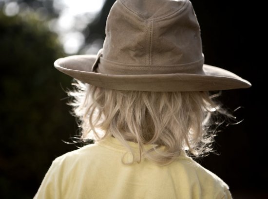 cock fights and tom cats