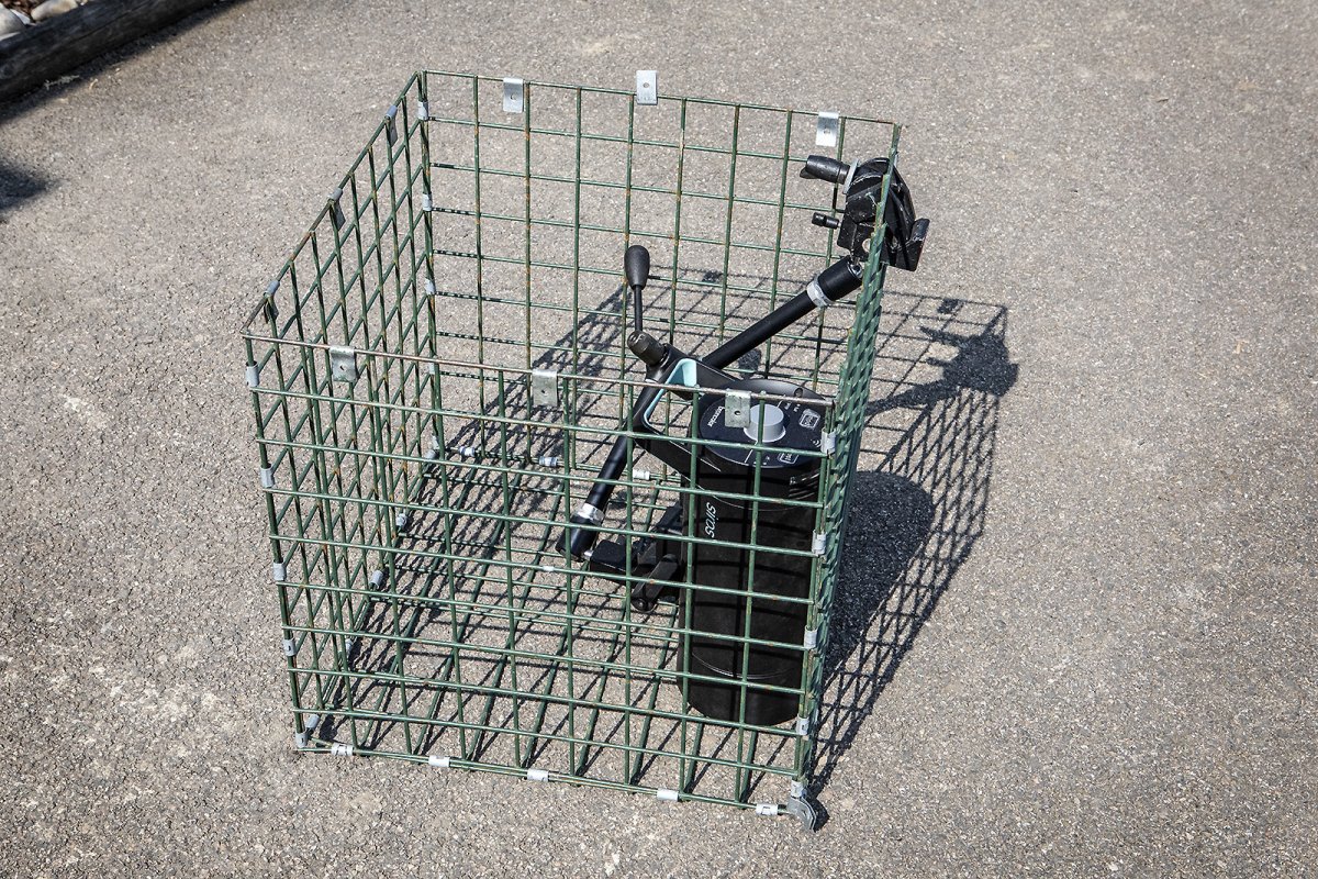 some girls are bigger than others