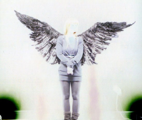 polaroid pinch punch