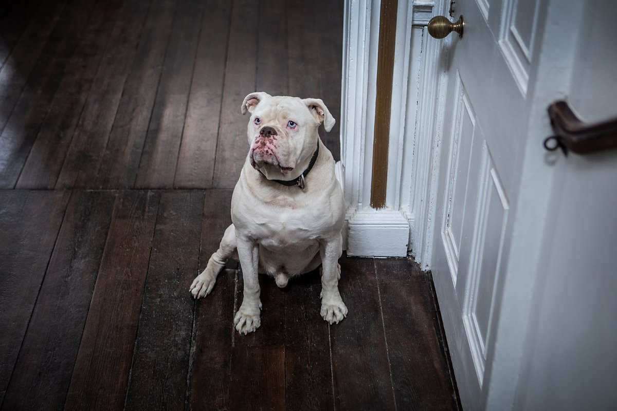 what, I mean WHO is that?