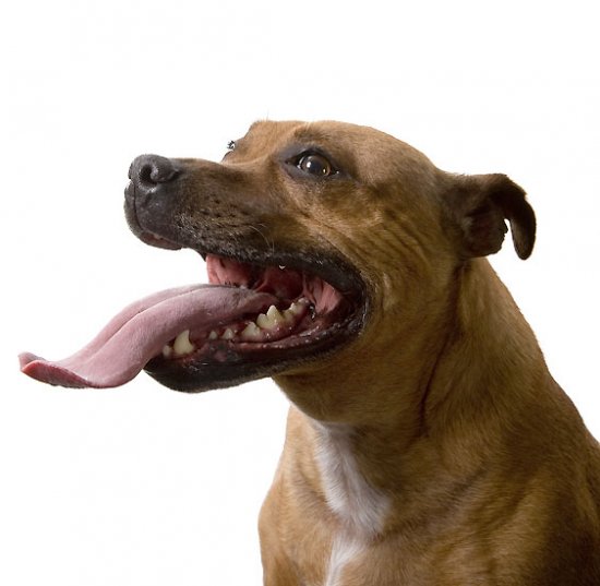 dont mess with my...