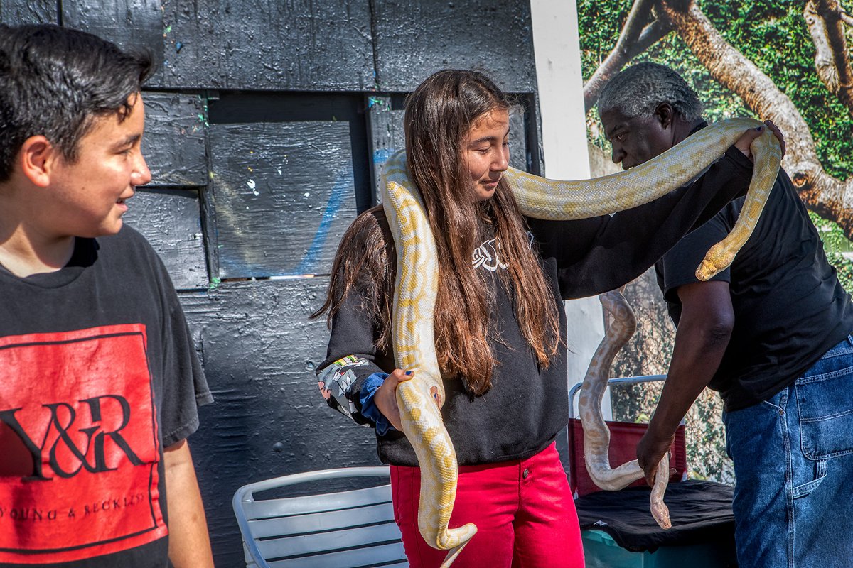 24hrs with the king of snake