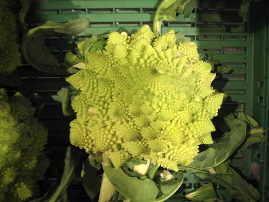 weird swiss vegtables