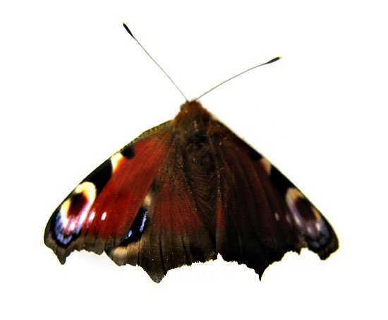 live it like its your last