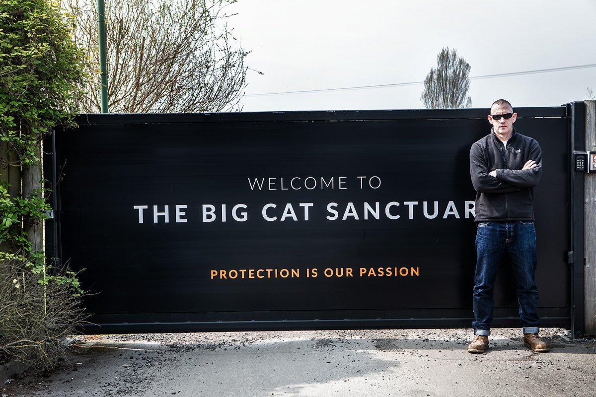 BIG cats behind the scenes