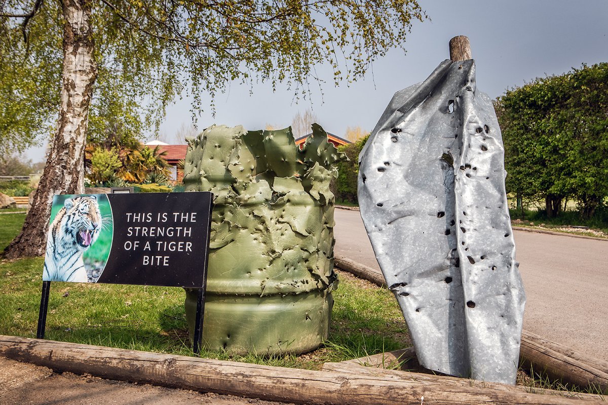 welcome to the BIG cat Sanctuary