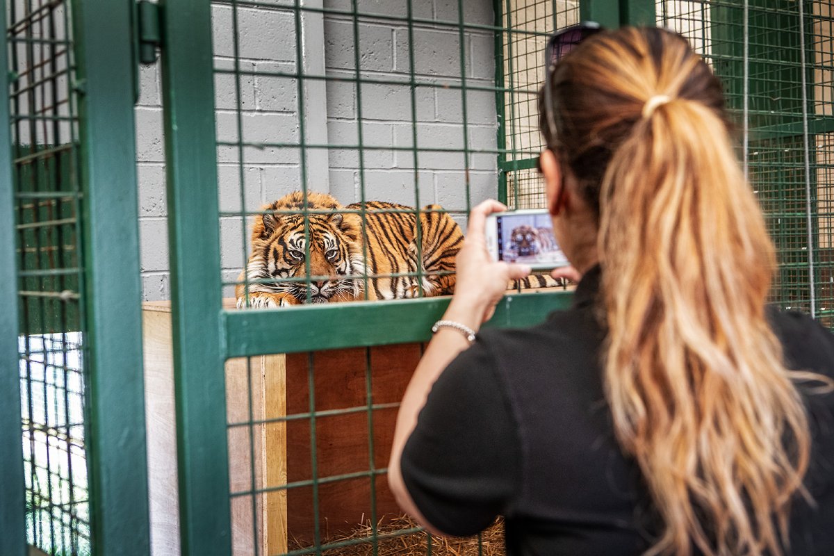 everyone's a photographer