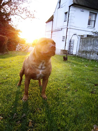 stratford and black in sunlight