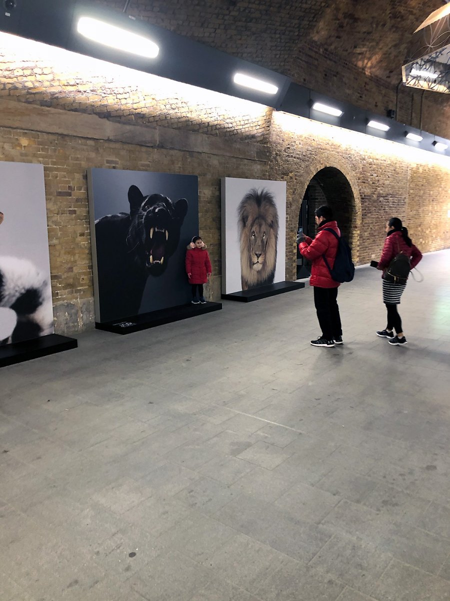 please do not stand on the grass