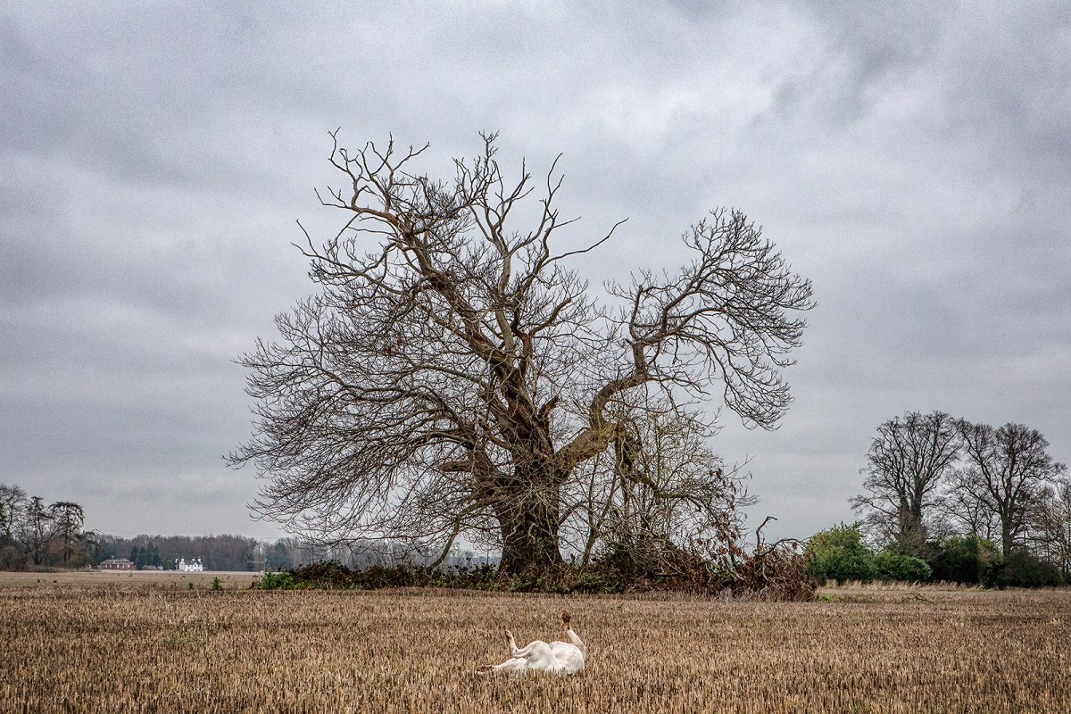 rolling rolling rolling