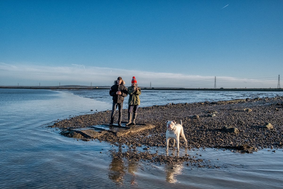 more oare