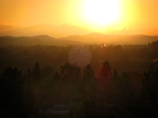 happy thanksgiving v.6