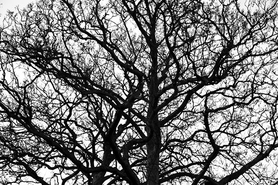 starting the year wrong...