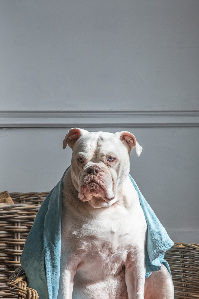 mr bunny as Mary, mother of christ
