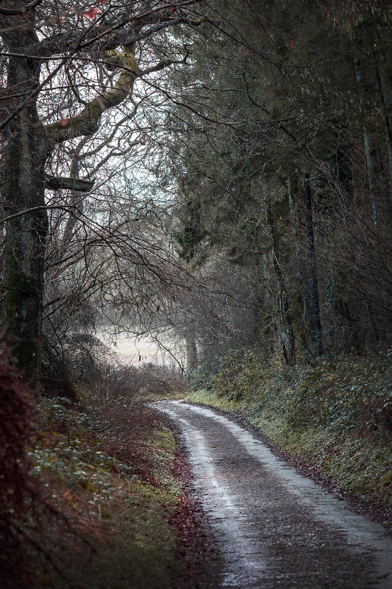a road to somewhere