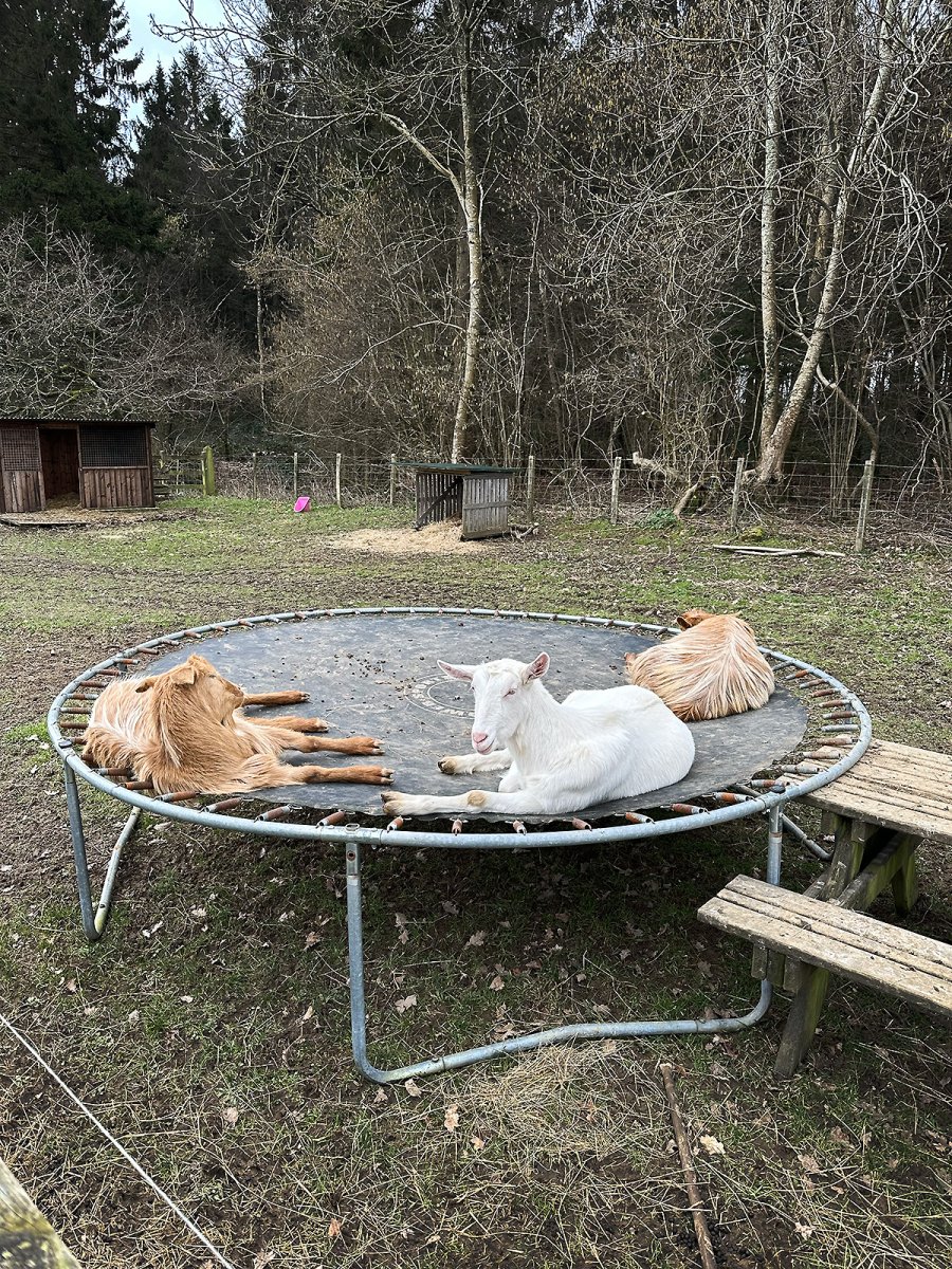 just chillin