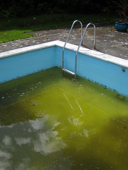 cant sleep wont sleep