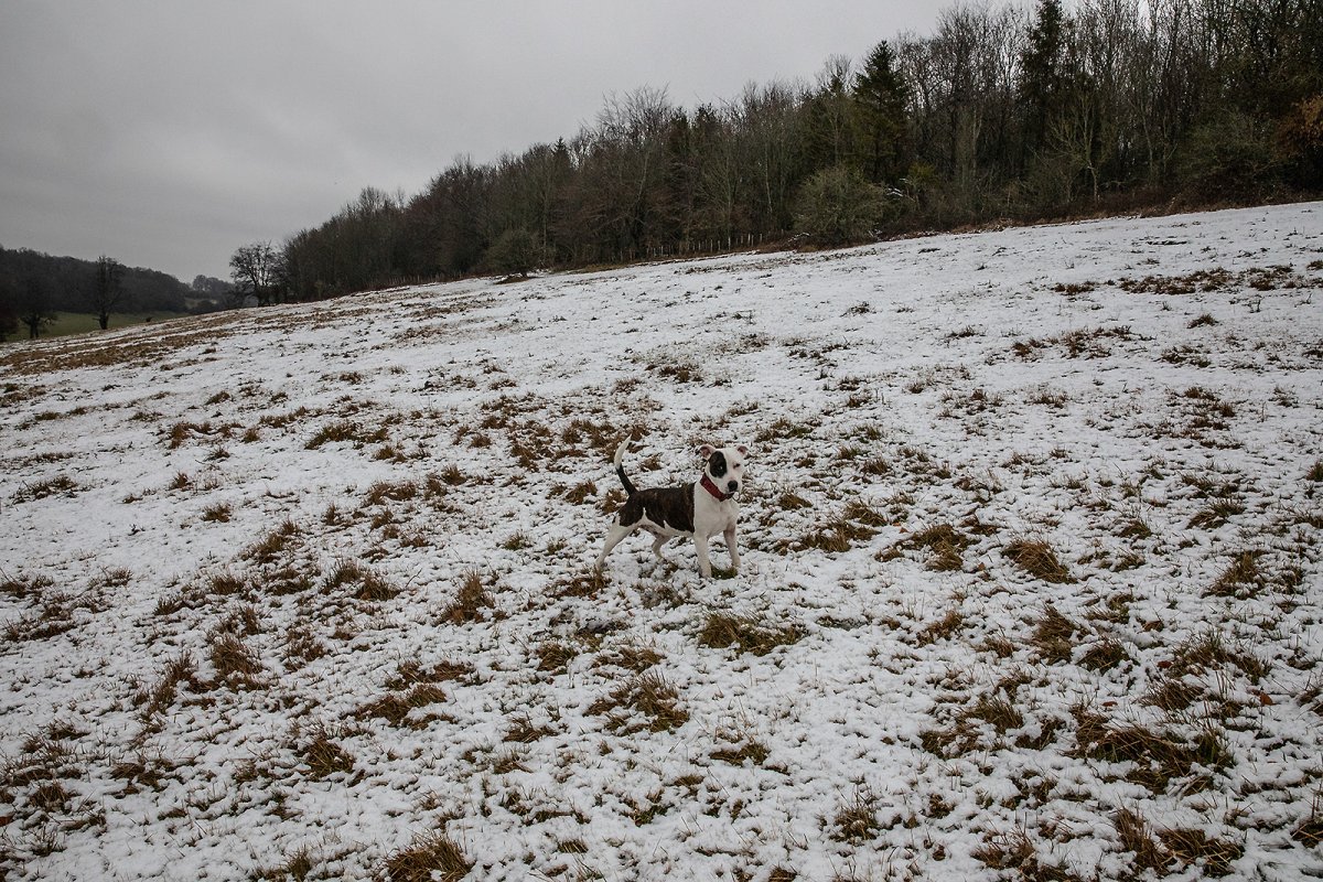 camouflage
