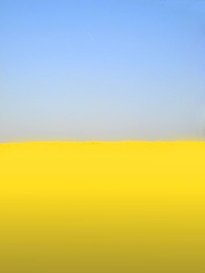 happy birthday mr. audis 