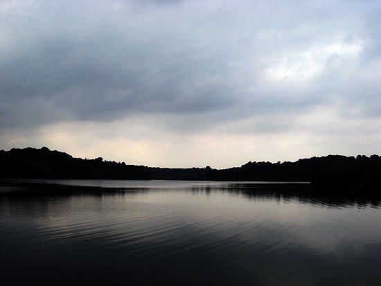 ardingly reservoir