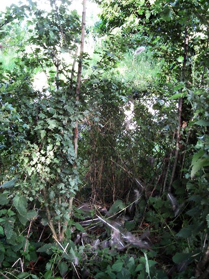 bad news (for jezabelle)