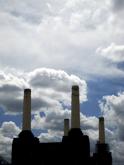 no running, heavy petting or bombing