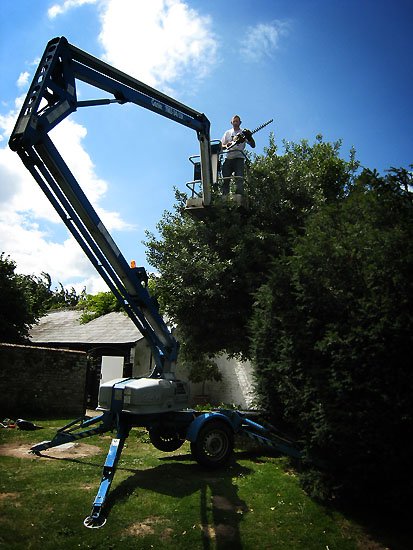 this is the way to trim ones bush, trim ones bush, trim ones bush