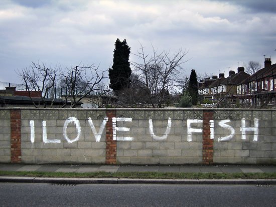 i love u fish